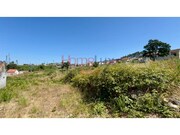 Terreno Rstico - Fnzeres, Gondomar, Porto - Miniatura: 4/9