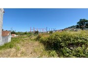 Terreno Rstico - Fnzeres, Gondomar, Porto - Miniatura: 5/9