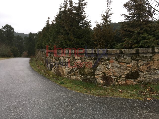 Terreno R�stico - Mangualde, Mangualde, Viseu - Imagem grande