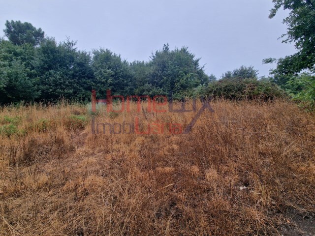 Terreno R�stico - Vila Cova � Coelheira, Vila Nova de Paiva, Viseu - Imagem grande