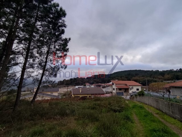 Terreno R�stico - Castro Daire, Castro Daire, Viseu - Imagem grande