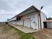 Armazm - Alfaiates, Sabugal, Guarda