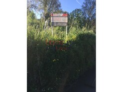 Terreno R�stico - Branca, Albergaria-a-Velha, Aveiro