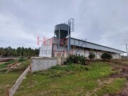 Armazm - Alfaiates, Sabugal, Guarda - Miniatura: 2/9