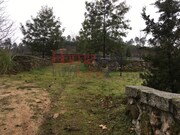 Terreno R�stico - Mangualde, Mangualde, Viseu - Miniatura: 1/9