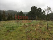 Terreno R�stico - Mangualde, Mangualde, Viseu - Miniatura: 2/9