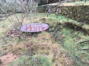 Terreno R�stico - Mangualde, Mangualde, Viseu - Miniatura: 6/9