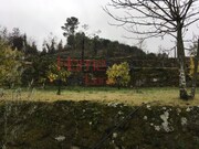 Terreno R�stico - Mangualde, Mangualde, Viseu - Miniatura: 7/9