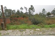 Outros - Fajes, Oliveira de Azemis, Aveiro - Miniatura: 5/7