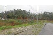 Outros - Fajes, Oliveira de Azemis, Aveiro - Miniatura: 7/7