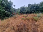 Terreno R�stico - Vila Cova � Coelheira, Vila Nova de Paiva, Viseu - Miniatura: 1/9