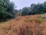 Terreno R�stico - Vila Cova � Coelheira, Vila Nova de Paiva, Viseu - Miniatura: 4/9