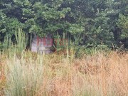 Terreno R�stico - Vila Cova � Coelheira, Vila Nova de Paiva, Viseu - Miniatura: 5/9