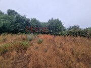 Terreno R�stico - Vila Cova � Coelheira, Vila Nova de Paiva, Viseu - Miniatura: 6/9
