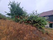 Terreno R�stico - Vila Cova � Coelheira, Vila Nova de Paiva, Viseu - Miniatura: 7/9