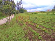 Terreno Rstico - Travass, gueda, Aveiro - Miniatura: 1/3