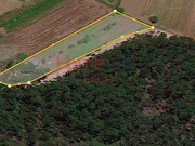 Terreno Rstico - Travass, gueda, Aveiro - Miniatura: 3/3