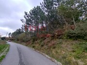 Terreno R�stico - Castro Daire, Castro Daire, Viseu - Miniatura: 1/9