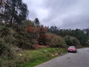 Terreno R�stico - Castro Daire, Castro Daire, Viseu - Miniatura: 3/9