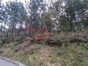 Terreno R�stico - Castro Daire, Castro Daire, Viseu - Miniatura: 9/9