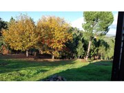Quinta T4 - Mid�es, T�bua, Coimbra - Miniatura: 2/9