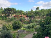 Quinta T4 - Mid�es, T�bua, Coimbra - Miniatura: 6/9