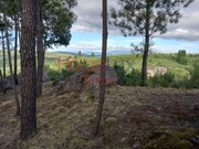 Quinta T4 - Mid�es, T�bua, Coimbra - Miniatura: 7/9