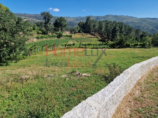 Terreno R�stico - S�o Cipriano, Resende, Viseu - Imagem grande
