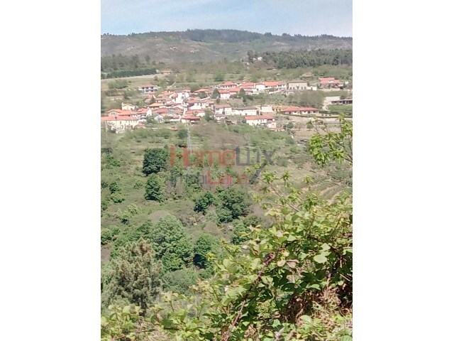 Terreno R�stico - Av�es, Lamego, Viseu - Imagem grande