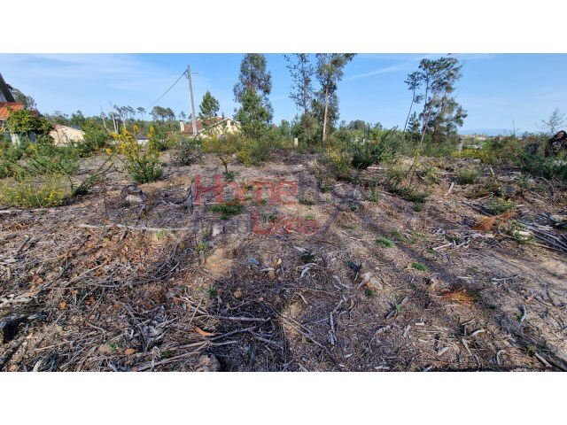 Terreno R�stico - Castel�es, Tondela, Viseu - Imagem grande