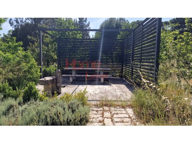 Terreno R�stico - Santar, Nelas, Viseu - Imagem grande