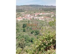 Terreno R�stico - Av�es, Lamego, Viseu