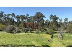 Terreno Rstico - S. Joo de Lourosa, Viseu, Viseu