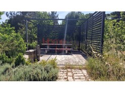 Terreno R�stico - Santar, Nelas, Viseu