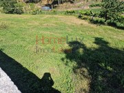 Terreno R�stico - S�o Cipriano, Resende, Viseu - Miniatura: 1/9