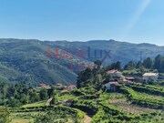 Terreno R�stico - S�o Cipriano, Resende, Viseu - Miniatura: 2/9
