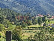 Terreno R�stico - S�o Cipriano, Resende, Viseu - Miniatura: 4/9