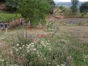 Terreno R�stico - S�o Cipriano, Resende, Viseu - Miniatura: 6/9