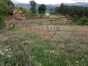 Terreno R�stico - S�o Cipriano, Resende, Viseu - Miniatura: 7/9