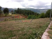 Terreno R�stico - S�o Cipriano, Resende, Viseu - Miniatura: 8/9