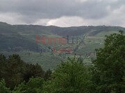 Terreno R�stico - S�o Cipriano, Resende, Viseu - Miniatura: 9/9
