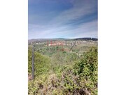 Terreno R�stico - Av�es, Lamego, Viseu - Miniatura: 1/9