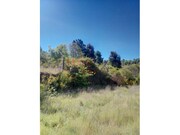 Terreno R�stico - Av�es, Lamego, Viseu - Miniatura: 2/9