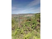 Terreno R�stico - Av�es, Lamego, Viseu - Miniatura: 3/9