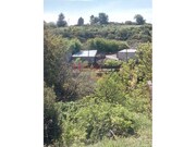 Terreno R�stico - Av�es, Lamego, Viseu - Miniatura: 4/9