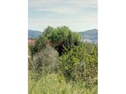 Terreno R�stico - Av�es, Lamego, Viseu - Miniatura: 5/9