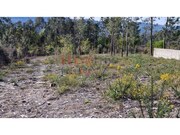 Terreno R�stico - Castel�es, Tondela, Viseu - Miniatura: 4/9