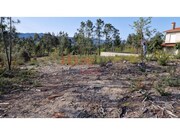 Terreno R�stico - Castel�es, Tondela, Viseu - Miniatura: 5/9