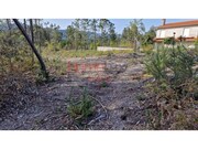 Terreno R�stico - Castel�es, Tondela, Viseu - Miniatura: 6/9