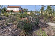 Terreno R�stico - Castel�es, Tondela, Viseu - Miniatura: 8/9